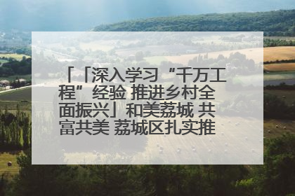「深入学习“千万工程”经验 推进乡村全面振兴」和美荔城 共富共美 荔城区扎实推进乡村振兴工作